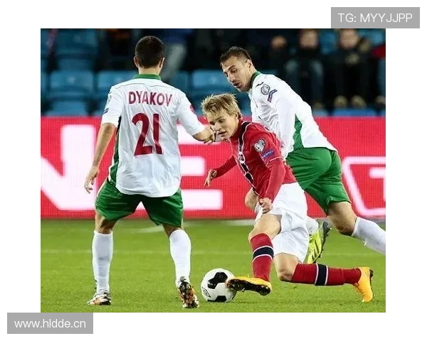 奥德加德欧洲杯数据 奥德加德欧洲杯数据